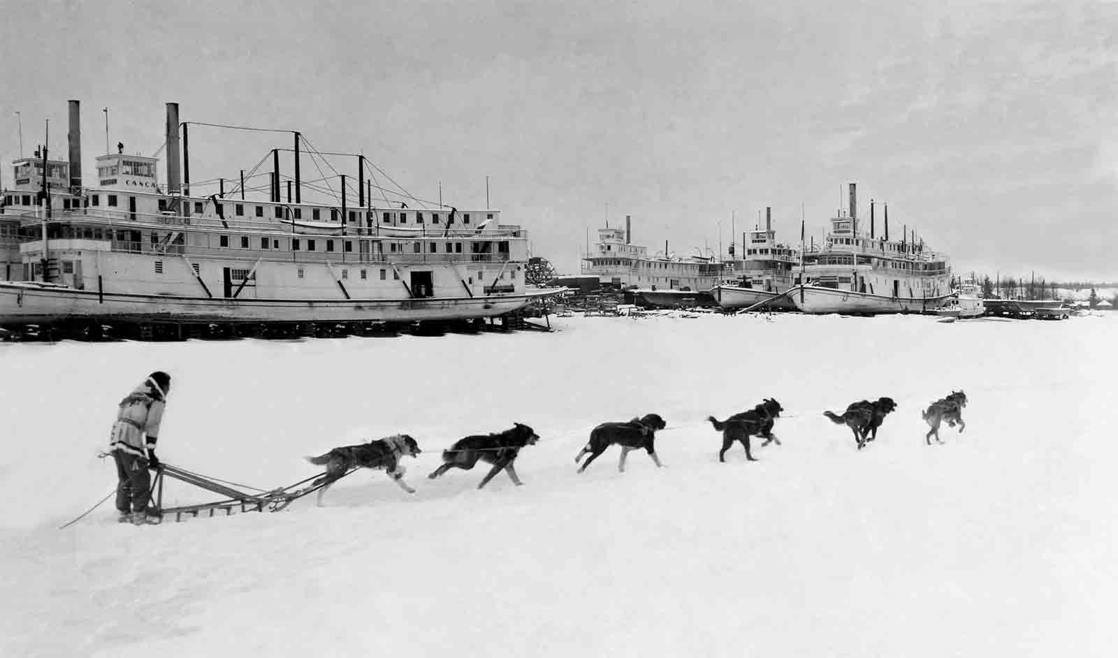 Dog Sled Team Runs Through Snow Past Yukon River Boat Sternwheelers Paddle Wheelers Dry Dock 1949