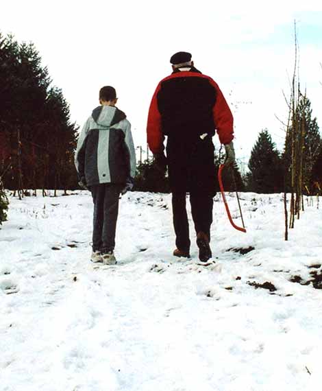 Grandfather And Grandson Quietly Walk Away Together In Snow In Search Of A Family Christmas Tree