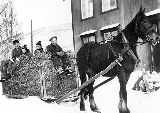 Horse Pulling Male Adult Three Children Sitting On Huge Hay Bale Ride Snow Norway Circa 1915